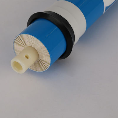 Huishoudelijk waterfilter met omgekeerd osmose 3012-400GDP voor schoon en zoet water