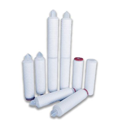 10 inch 0,1 micron PTFE pleat membraan waterfilter cartridge voor biologische behandeling