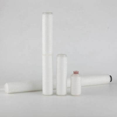 Vervangbaar 0,22 micron Absolute Membraan Steriliseerd Pleated Filter Cartridge 10 inch