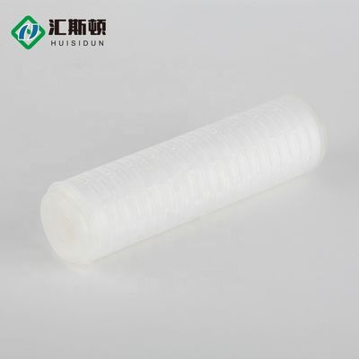 Vervangbaar 0,22 micron Absolute Membraan Steriliseerd Pleated Filter Cartridge 10 inch