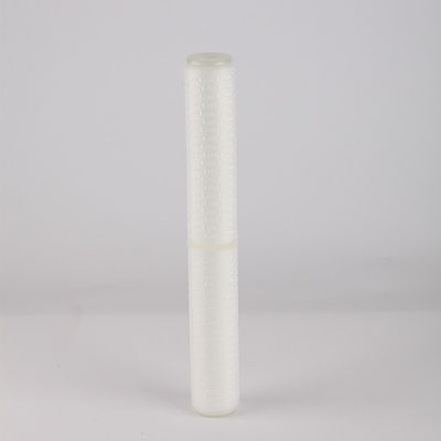 20 inch pleatfilter met 0,22 0,45 micron PTFE membraan en video technische ondersteuning